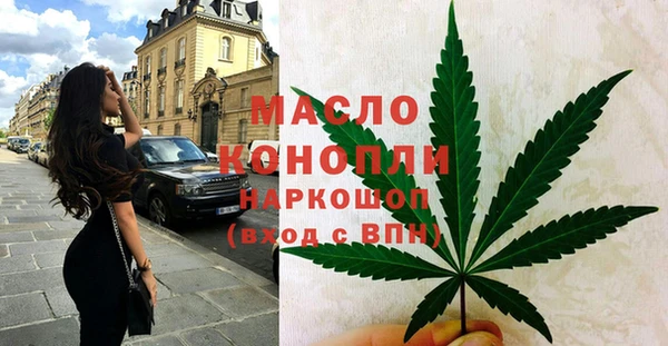 хмурый Арсеньев