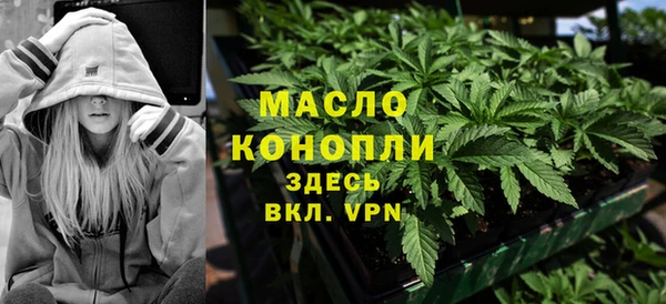 хмурый Арсеньев