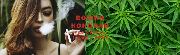 хмурый Арсеньев